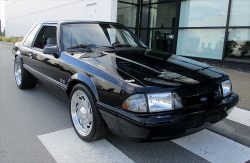 Used Mustang For Sale