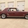 Used Mustang For Sale