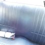 Used Mustang For Sale Used Mustang For Sale