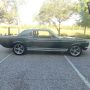 Used Mustang For Sale Used Mustang For Sale