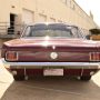 Used Mustang For Sale
