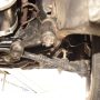 Used Mustang For Sale