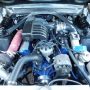Used Mustang For Sale Used Mustang For Sale