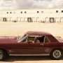 Used Mustang For Sale