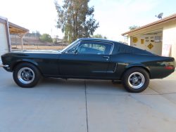 Used Mustang For Sale
