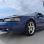Used Mustang For Sale