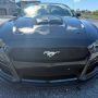 Used Mustang For Sale