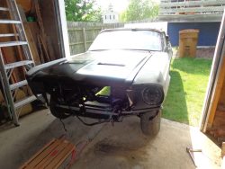 Used Mustang For Sale