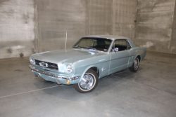 Used Mustang For Sale