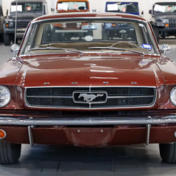 Used Mustang For Sale