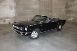 Used Mustang For Sale