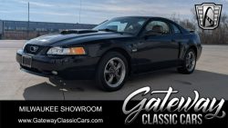 Used Mustang For Sale