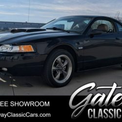 Used Mustang For Sale