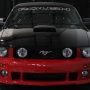 Used Mustang For Sale