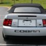 Used Mustang For Sale