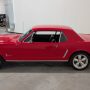 Used Mustang For Sale
