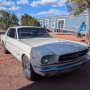 Used Mustang For Sale