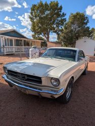 Used Mustang For Sale