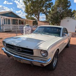 Used Mustang For Sale