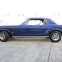 Used Mustang For Sale