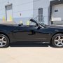 Used Mustang For Sale Used Mustang For Sale