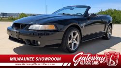 1999 Ford Mustang GT Cobra #1808MWK For Sale on UsedMustangsForSale.com Used Mustang For Sale