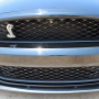 Used Mustang For Sale