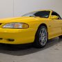 Used Mustang For Sale Used Mustang For Sale