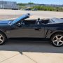 Used Mustang For Sale Used Mustang For Sale