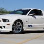 Used Mustang For Sale Used Mustang For Sale