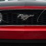 Used Mustang For Sale