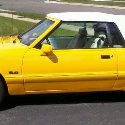 Used Mustang For Sale