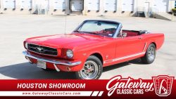 Used Mustang For Sale