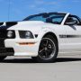Used Mustang For Sale