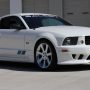 Used Mustang For Sale Used Mustang For Sale