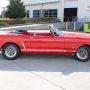 Used Mustang For Sale