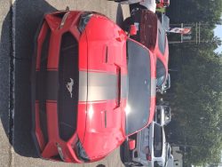 2021 Ford Mustang GT For Sale on UsedMustangsForSale.com Used Mustang For Sale
