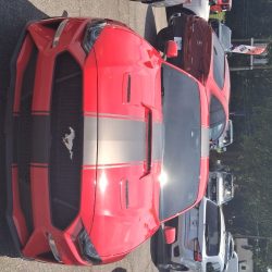 Used Mustang For Sale