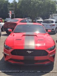 2021 Ford Mustang GT For Sale on UsedMustangsForSale.com Used Mustang For Sale