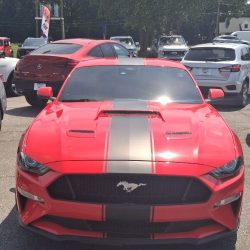 Used Mustang For Sale