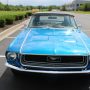 Used Mustang For Sale Used Mustang For Sale