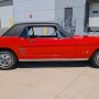 Used Mustang For Sale