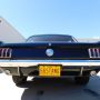 Used Mustang For Sale