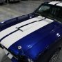 Used Mustang For Sale Used Mustang For Sale