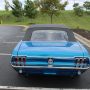 Used Mustang For Sale Used Mustang For Sale