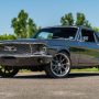Used Mustang For Sale
