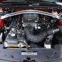 Used Mustang For Sale Used Mustang For Sale