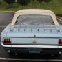 Used Mustang For Sale Used Mustang For Sale