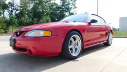 1995 Ford Mustang SVT Cobra 810-CHA For Sale on UsedMustangsForSale.com Used Mustang For Sale