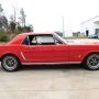 Used Mustang For Sale Used Mustang For Sale